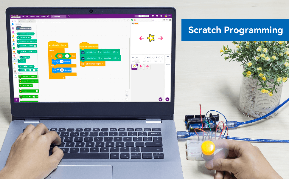 Scratch-based interactive programming