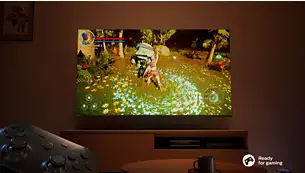 Gaming features VRR and low input lag