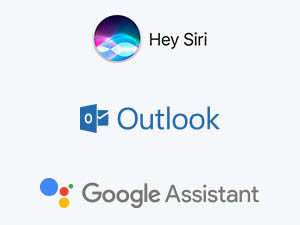 Voice assistant