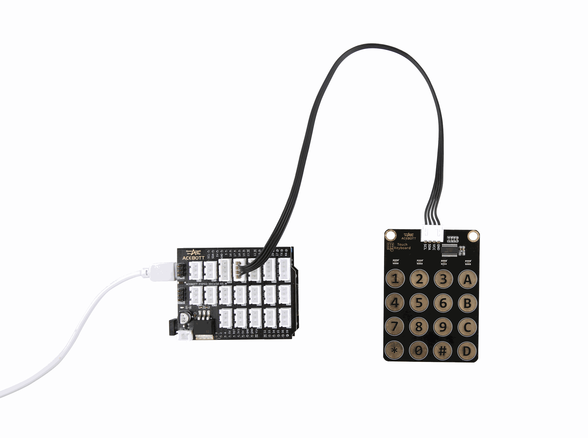 Serial monitor printing key value (alt set)