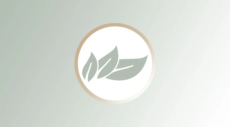 BotaniCare temperature setting at 185°C