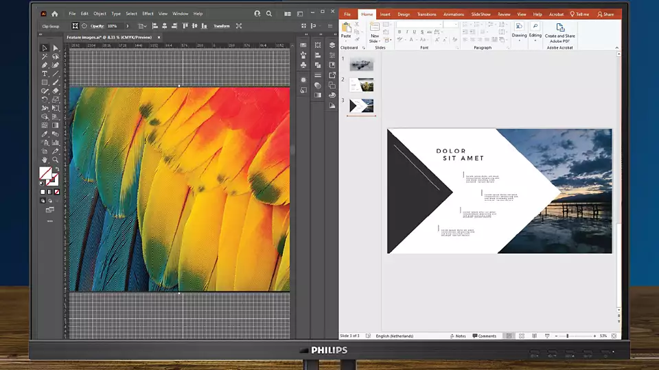 Philips MultiView multitasking feature