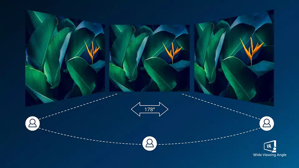 Philips VA panel technology