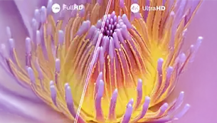 Vivid screen