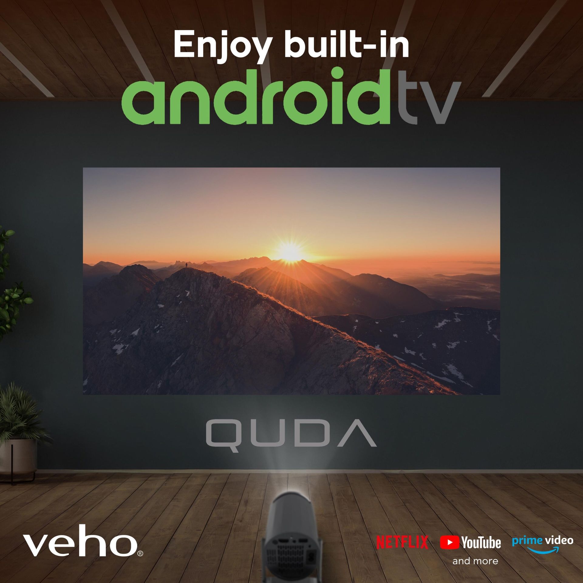Built-in Android TV