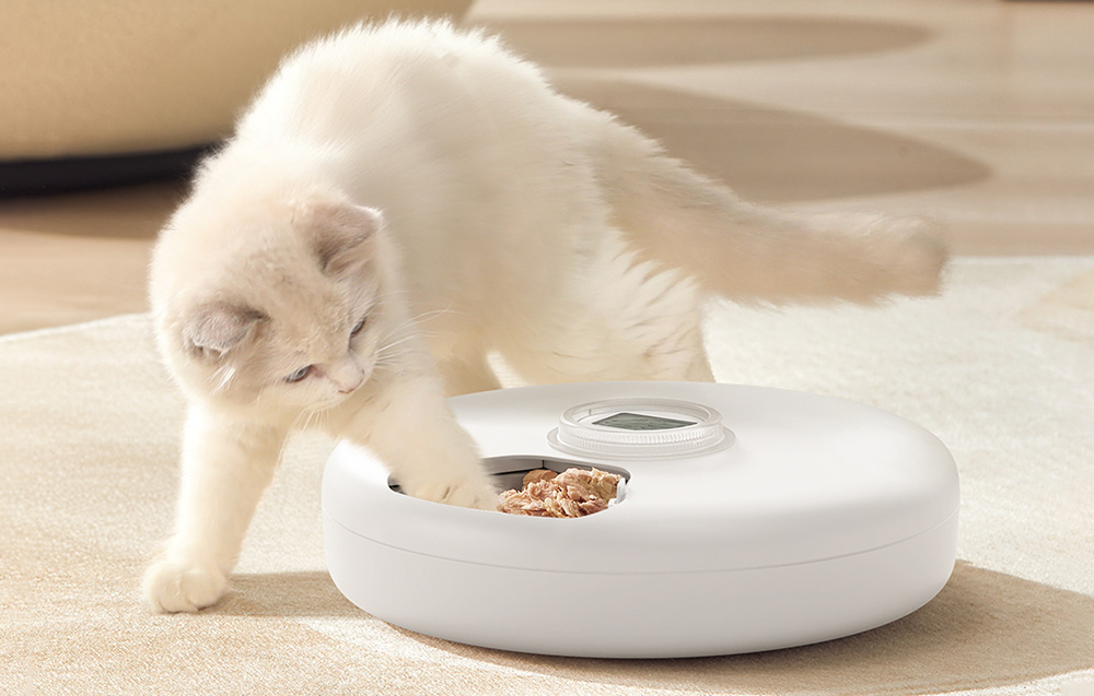 ROJECO F19 automatic pet feeder showing its safety-focused design