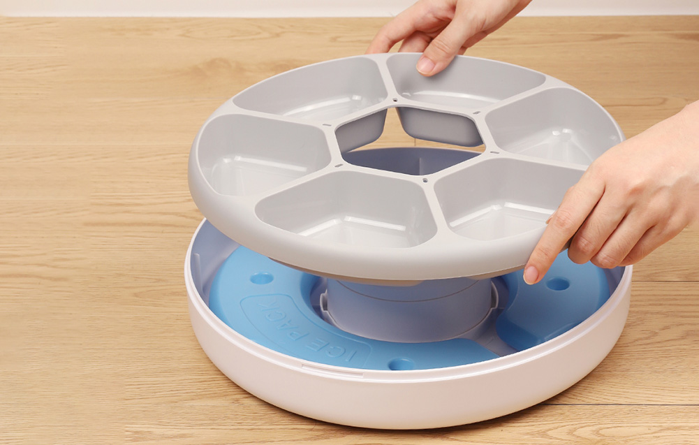 ROJECO F19 compact automatic feeder in a home interior