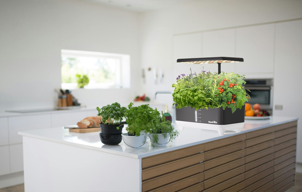RainPoint indoor hydroponic growing system with herbs and tomatoes