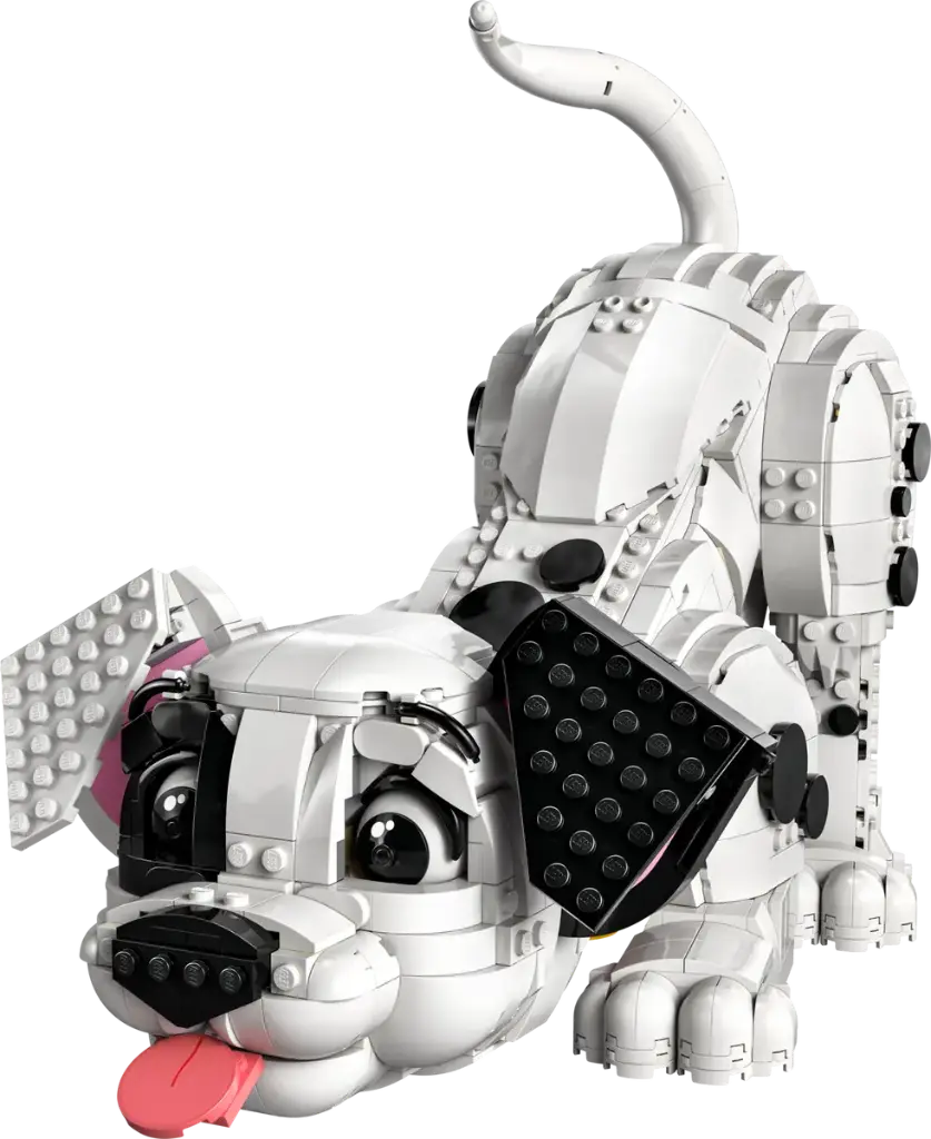 43269 (1).webp