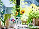 40524 (3).webp
