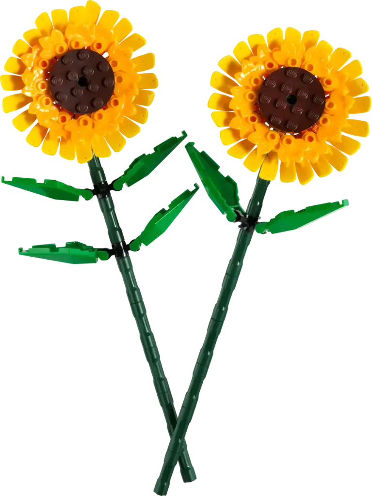40524 (1).webp