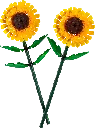 40524 (1).webp