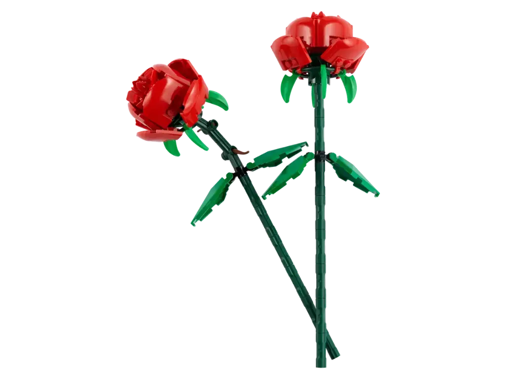 40460 (2).webp
