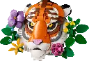 31217 (2).webp