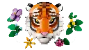 31217 (4).webp