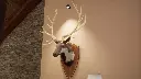 Hunting Simulator (3).webp
