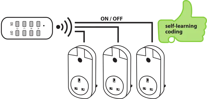 CE1 3001 (1).webp