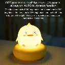 Duck Lamp (2).webp