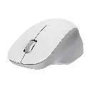 Comfort Edition (2).webp