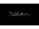 42141 (5).webp