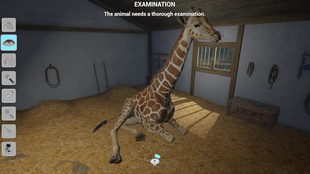 Vet (4).webp