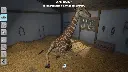 Vet (4).webp