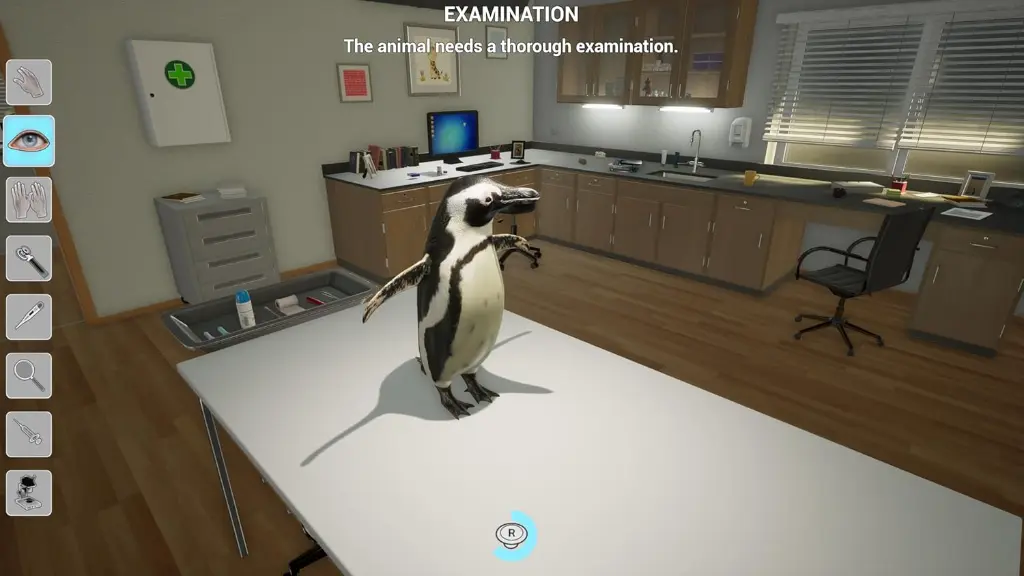 Vet (5).webp