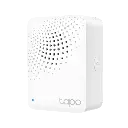 H100 (1).webp