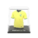 Brazil 2022 (1).webp