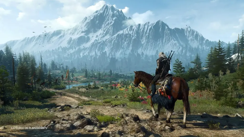The Witcher 3 (5).webp