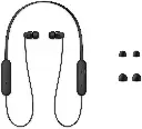 sonyc100-4.webp