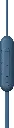 sonyc100-3.webp