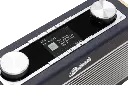 Roberts Rambler MAX (4).webp
