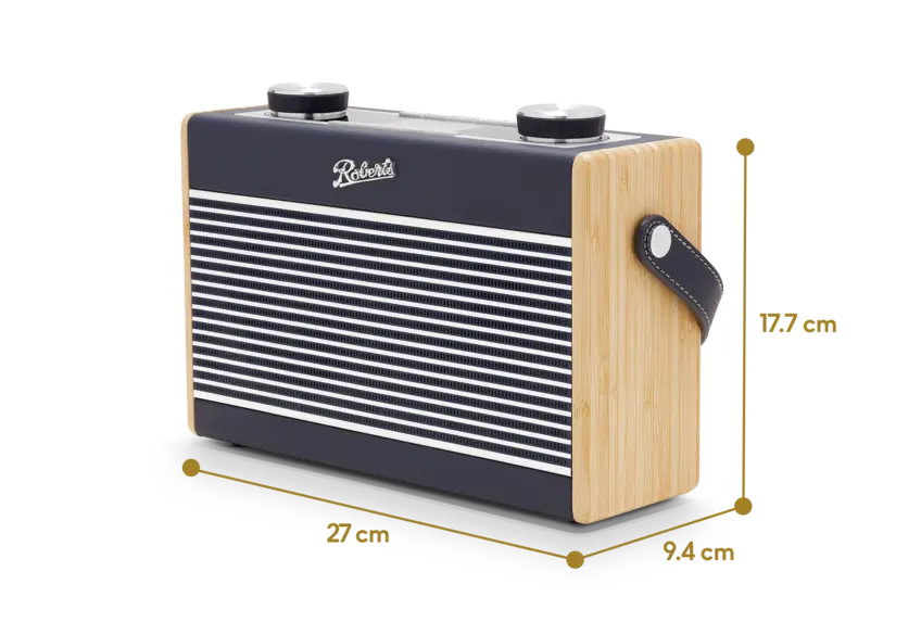 Roberts Rambler MAX (5).webp