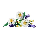  LEGO 11508 Botanicals Daisies (2).webp