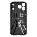 Spingens 3.webp