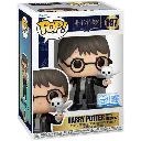 Harry 1.1.webp
