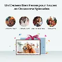 71M2tQuk0WL._AC_SL1500_.webp