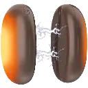 760414eb-af46-11f0-810b-a8a1593ebe6e-600x600.webp