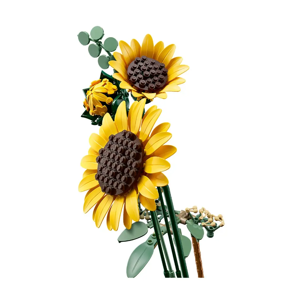 0206641.webp