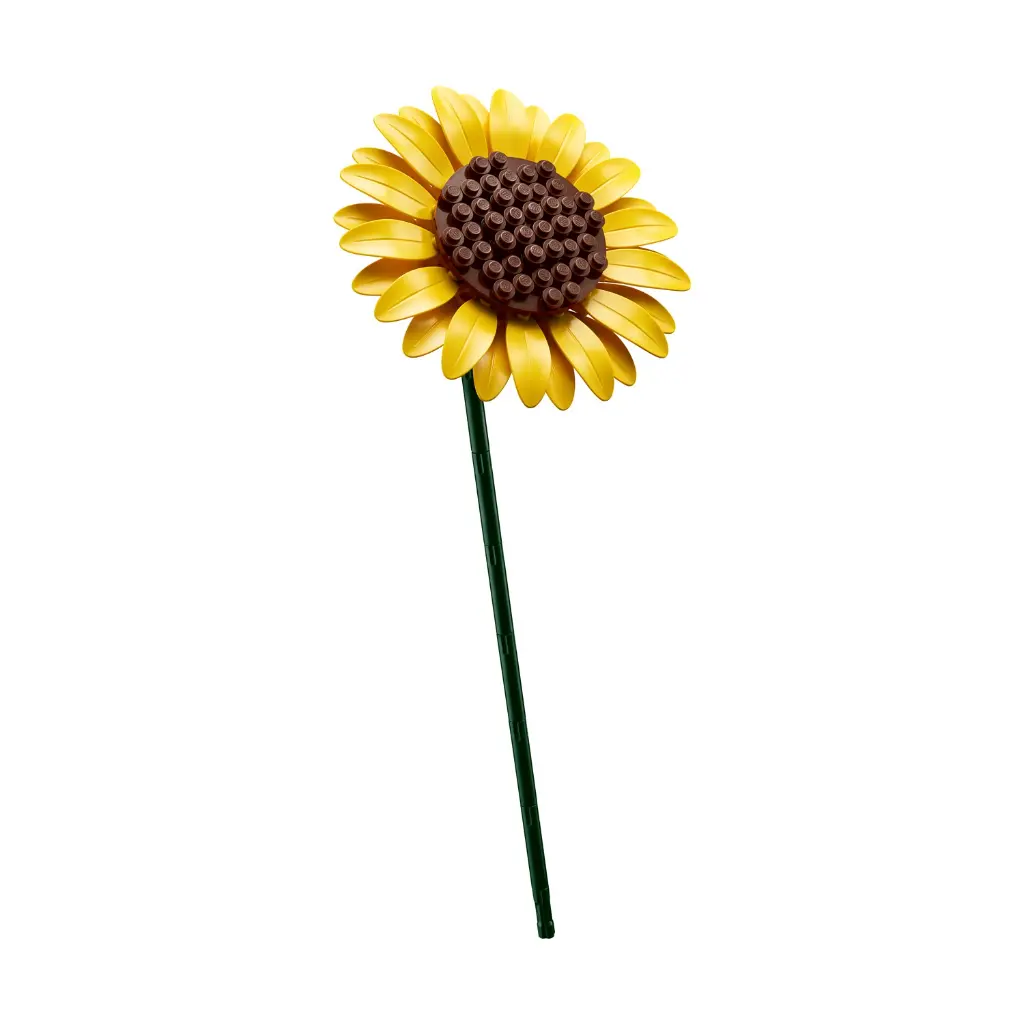0206633.webp