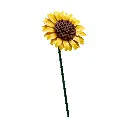 0206633.webp