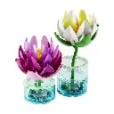 0219579.webp