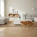 67689422 (2).webp