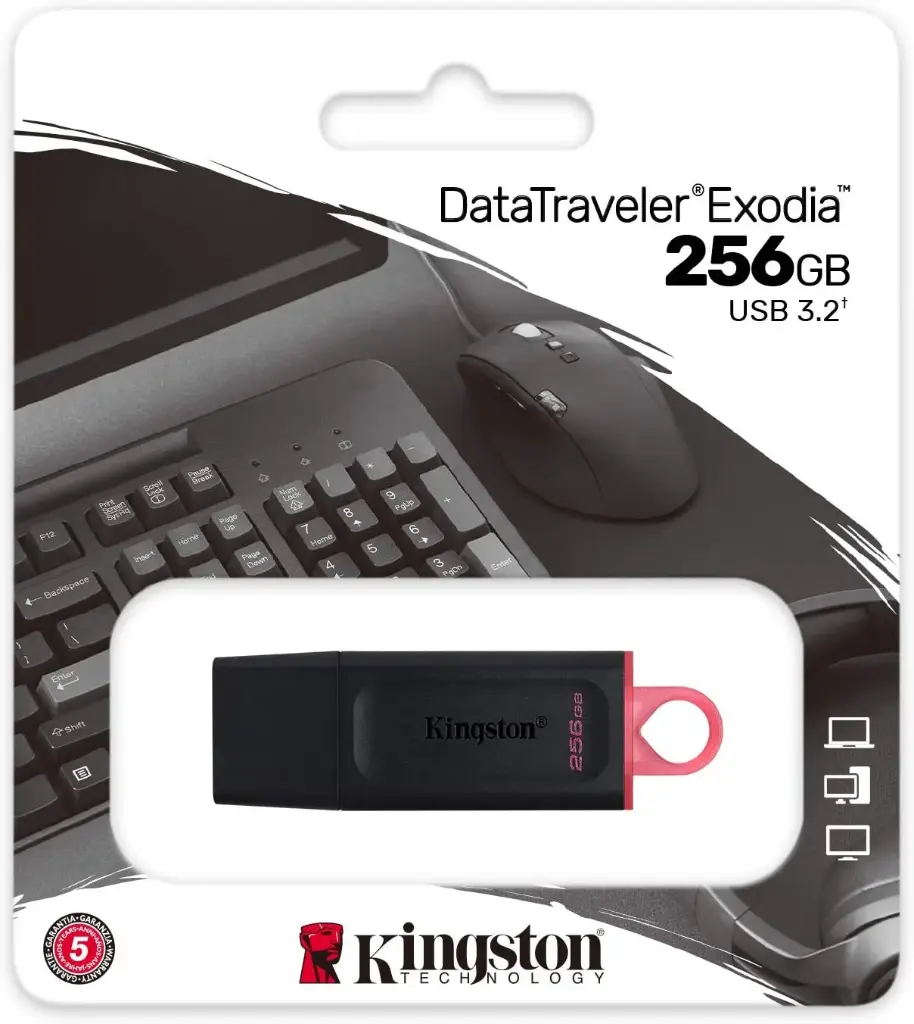 Kingston DataTraveler Exodia DTX/256GB Flash Drive USB 3.2 Gen 1 