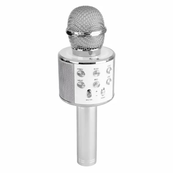 Bluetooth Karaoke Microphone with Speaker | Silver
