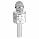 Bluetooth Karaoke Microphone with Speaker | Silver