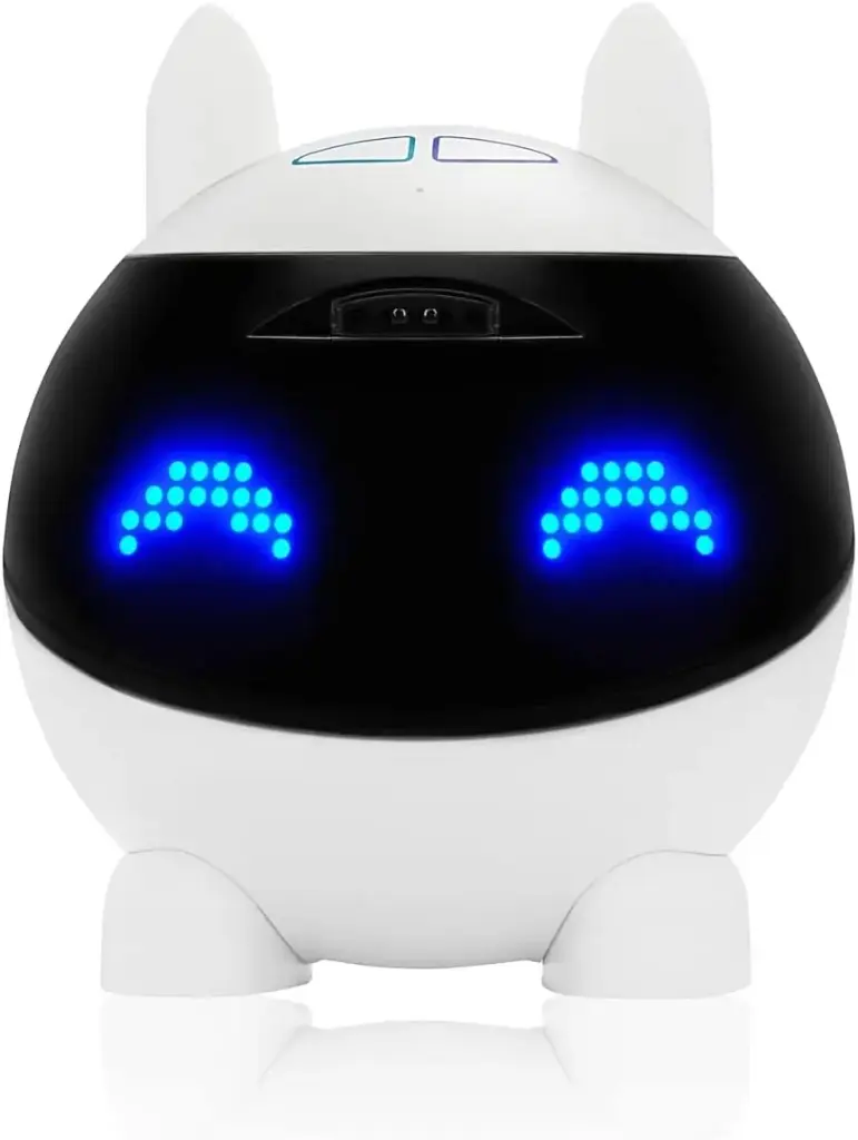 Winky - Educational Robot for Children