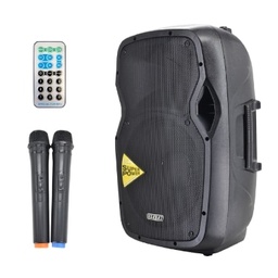 Active Audio Enclosure with Dual Microphones | CLUB 15 Smart 300W