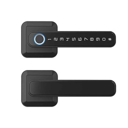 C10 TT/TUYA Smart Lock